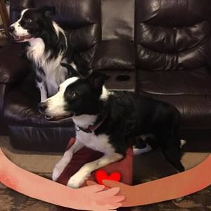 Meet your Posher, Kandy